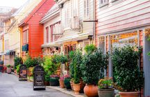 From city lights to fjord sights guided tour of Bergen and Osterfjord