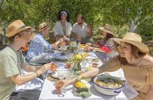 Sicilian countryside picnic and traditional farming tour