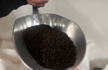 Gdańsk beer tasting and history tour with local expert guide