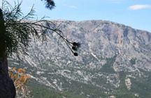 Trekking in the Village of Tiscali from Su Gologone