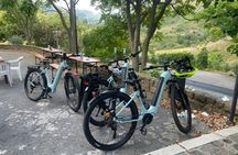 E-bike tour through Madonie Park with olive oil tasting
