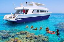 Port Ghalib Snorkeling Cruise from Marsa Alam with Lunch and Drinks