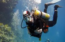 Diving experiences and courses in Marsa Alam