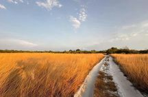 4WD adventure to Khao Na Yak with Andaman Sea escape