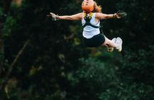 Zipline ride adventure at Tree Bridge in Koh Samui