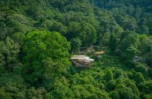 Zipline ride adventure at Tree Bridge in Koh Samui