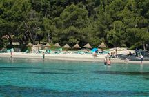 Formentor Beach boat trip from Can Picafort with swim stops