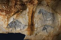 Cassis village tour, Calanques boat ride and Cosquer Cave visit