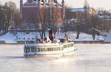 Stockholm Archipelago Winter Boat Tour with Guide