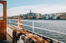 Stockholm Archipelago Winter Boat Tour with Guide