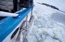 Stockholm Archipelago Winter Boat Tour with Guide