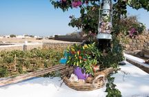 Mykonos farm visit and traditional farming experience