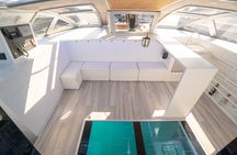 Glass-bottom catamaran whale and dolphin watching cruise