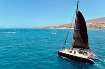 Glass-bottom catamaran whale and dolphin watching cruise