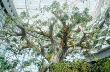 The Green Planet general admission and F&B meal