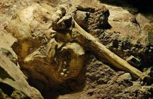 Cradle of Humankind half-day tour from Johannesburg