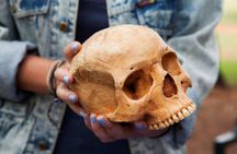 Cradle of Humankind half-day tour from Johannesburg