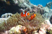 Similan Islands yacht cruise with lunch from Phuket or Khao Lak