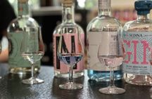 Polish craft gin tasting experience with a local expert in Gdansk