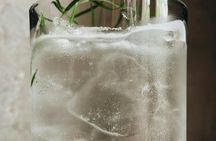 Polish craft gin tasting experience with a local expert in Gdansk