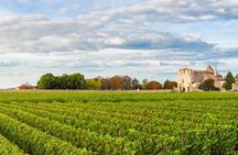 Bordeaux wine tour with chateau visit and tasting