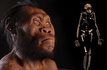 Cradle of Humankind half-day tour from Johannesburg