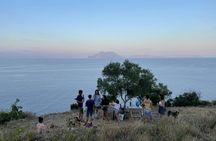 Filicudi vineyard stroll and Tuscia wine tasting experience