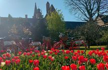 Guided retro bike tour to the hidden gems of Bruges