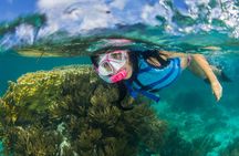 Full-day Isla Mujeres catamaran cruise from Costa Mujeres