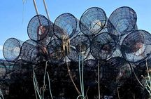 Fishing boat tour to Asinara from Stintino