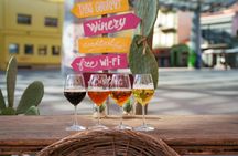 Sardinian craft beer tasting in Olbia