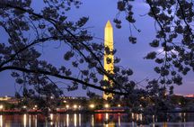 DC Monuments night tour with 10 stops and cherry blossoms