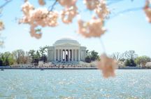 DC in a day with 10 monuments, cherry blossoms, and a boat cruise