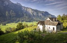 Ballenberg Swiss Open-Air Museum entrance ticket