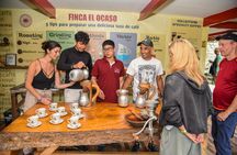 Finca El Ocaso guided coffee farm tour with tasting