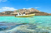Asinara dinghy tour with aperitif from Stintino