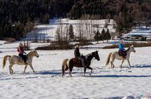 Horse ride experience through the Brenta Dolomites