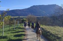 Horse ride experience through the Brenta Dolomites
