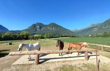 Horse ride experience through the Brenta Dolomites