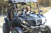 Half-day guided buggy tour in the Mijas mountains