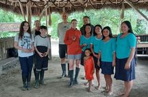 Day tour to discover the jungle with river adventure