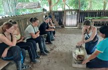 Day tour to discover the jungle with river adventure