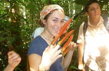 Day tour to discover the jungle with river adventure