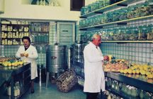 Limoncello factory tour and tasting in Amalfi's centre