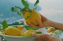 Limoncello factory tour and tasting in Amalfi's centre
