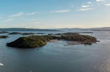 The five pearls of the Oslofjord full-day guided tour