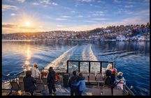 The five pearls of the Oslofjord full-day guided tour