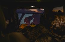 Movie night experience in the forest in Las Vegas