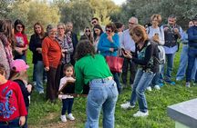 Organic Sicilian honey tasting and beekeeping tour