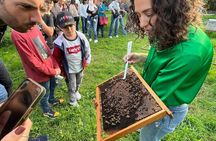 Organic Sicilian honey tasting and beekeeping tour